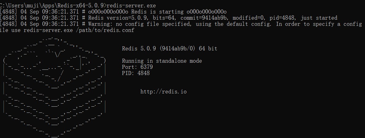 redis001.jpg